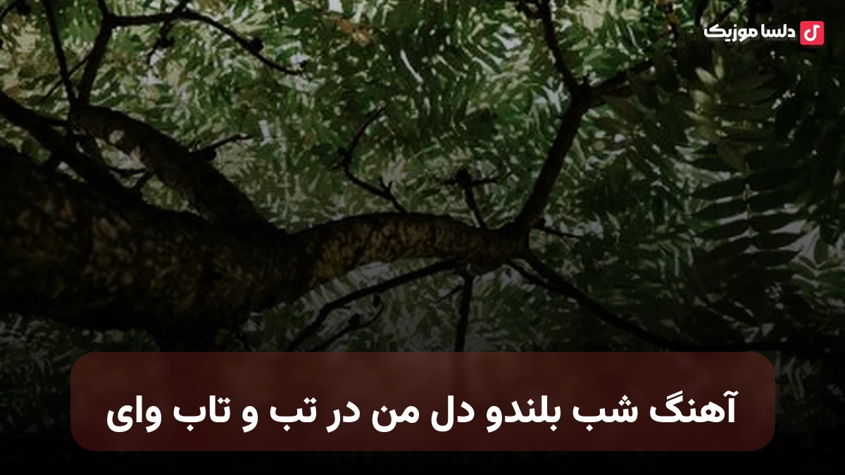شب بلندو دل من در تب و تاب وای ریمیکس صدای زن حمیرا